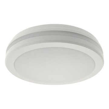 LED Stropní svítidlo se senzorem pohybu LED/20W/230V 3000/4000/6500K pr. 230 cm IP54 šedá